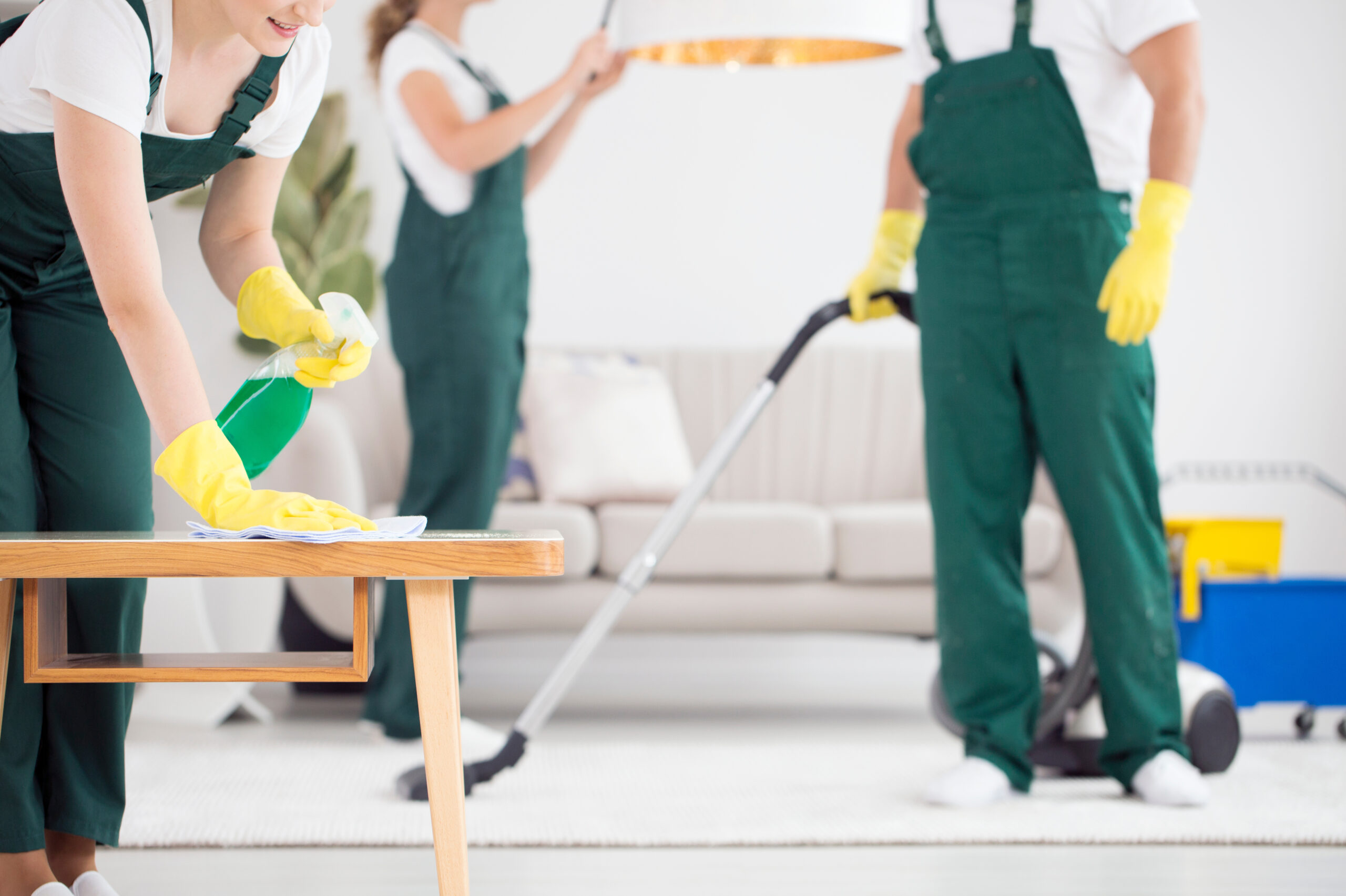 Team of cleaners cleaning room Team of cleaners cleaning room